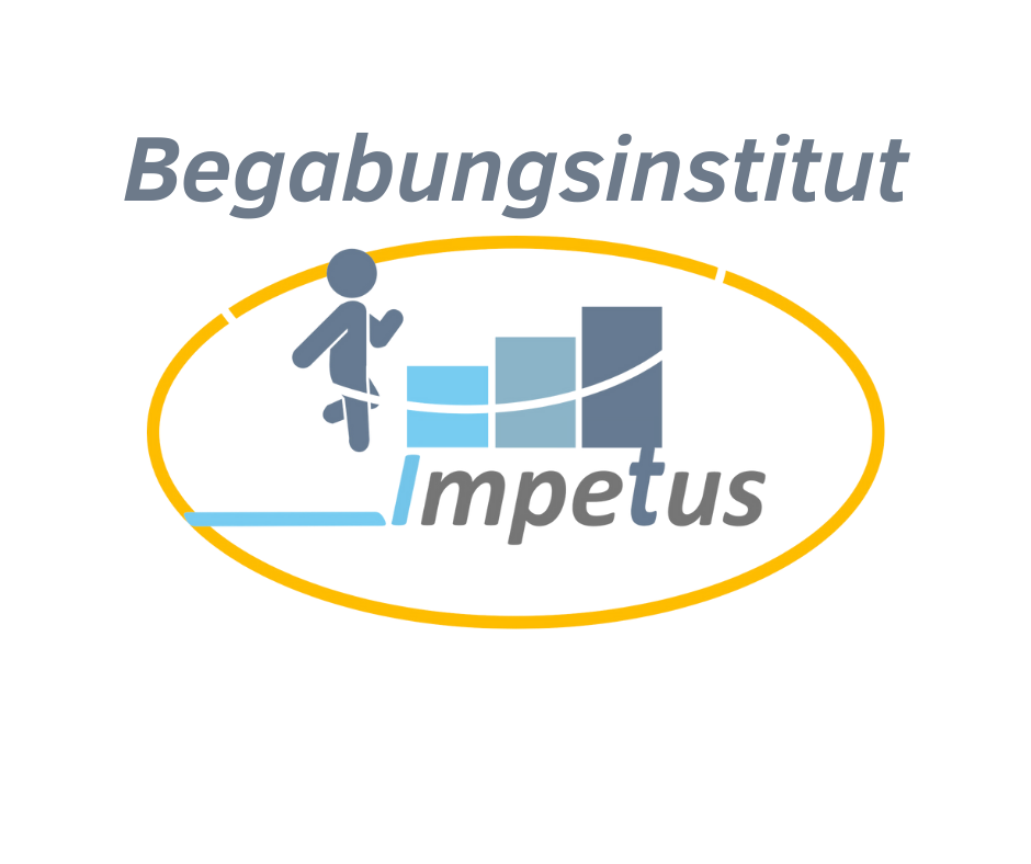 begainstitutimpetus.de